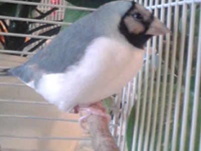 20150815_145512.jpg