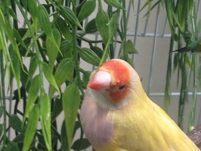 image.jpg