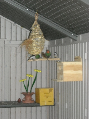 DSCN0013.JPG