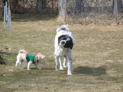DSC00631.JPG