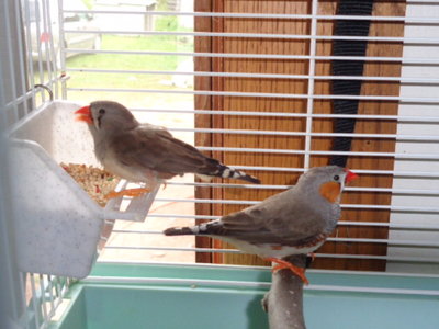 DSC01194.JPG