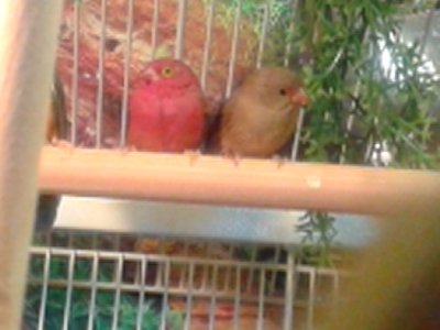 20150910_192547.jpg
