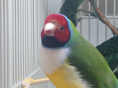 image.jpg