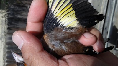 20150928_123625.jpg