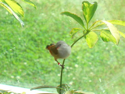 DSC06093.JPG