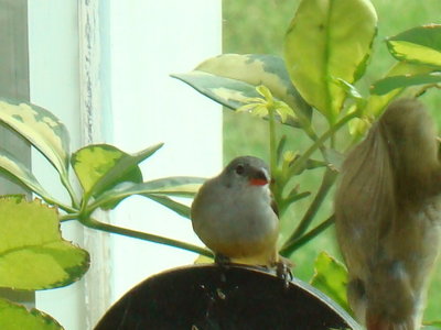DSC06095.JPG