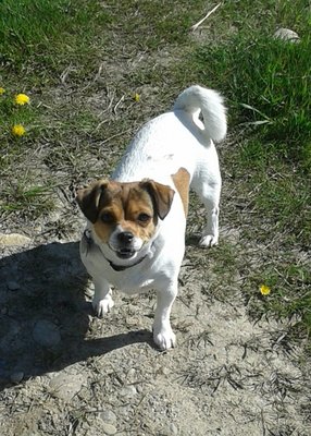 Katy, aka : Muffin Top, Poochinka, Sausage, Sausage Roll, Katy Bug, KK, Katy Bird.