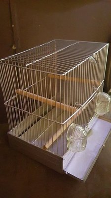 am singer cage.jpg
