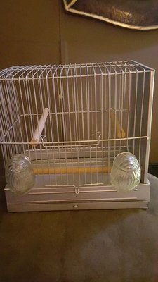 am singer cage2.jpg