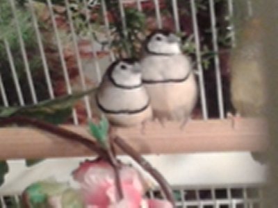 20151003_154531.jpg