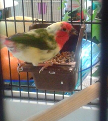 20151007_173407-1.jpg