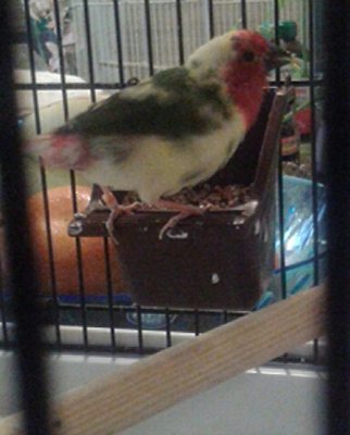 20151007_174135-1.jpg