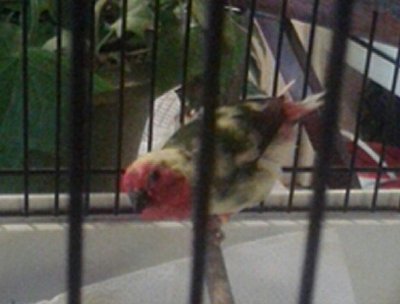 20151007_173926-1.jpg