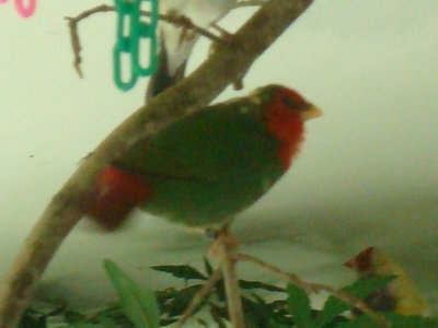 DSC06124.JPG