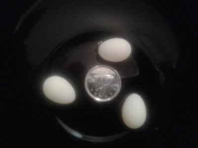 20151009_202824.jpg