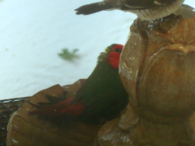 DSC06123.JPG