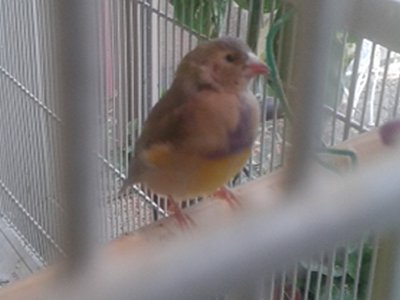 20151010_132438.jpg