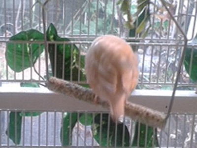 20151009_150344.jpg