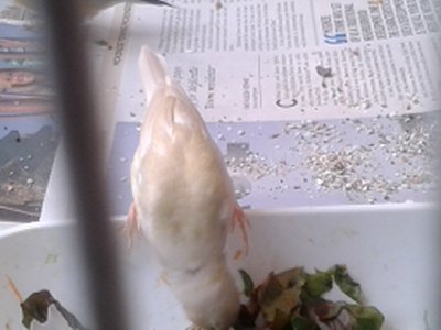 20151009_151239.jpg
