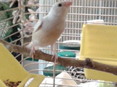 20150827_171526.jpg