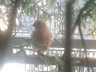 20151010_132938.jpg