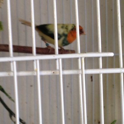IMG_2787.jpg