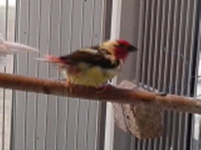 20151011_122556.jpg