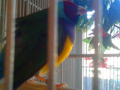 20151013_154839.jpg