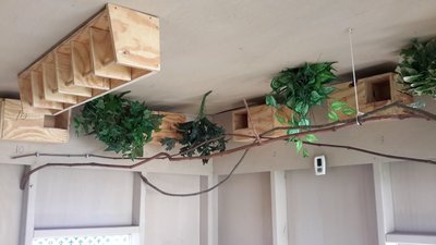 20150619_092143.jpg