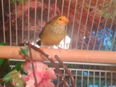 20151015_175455.jpg