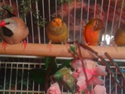 20151015_174708.jpg