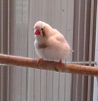 20151003_143255-1.jpg
