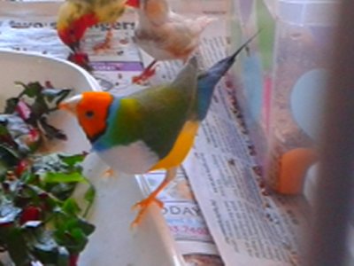 20151013_154949.jpg