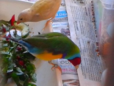 20151013_154200.jpg