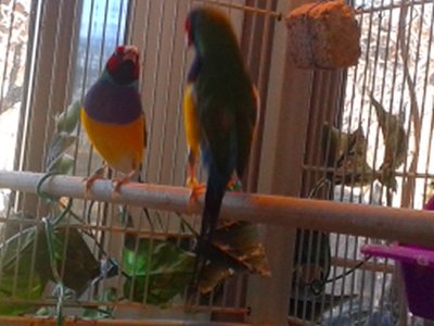 20151013_152952.jpg