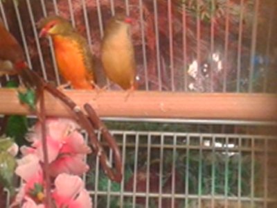 20151015_174656.jpg