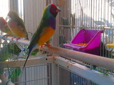 20151013_152429.jpg