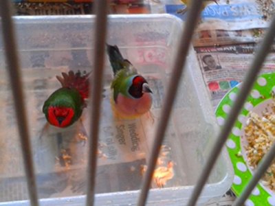 20151013_153239.jpg