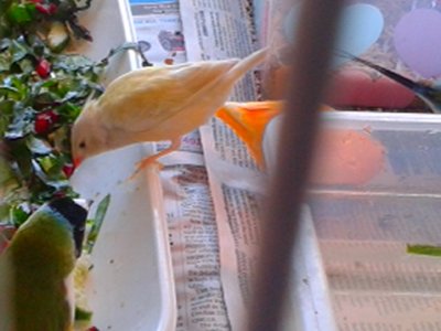 20151013_154611.jpg