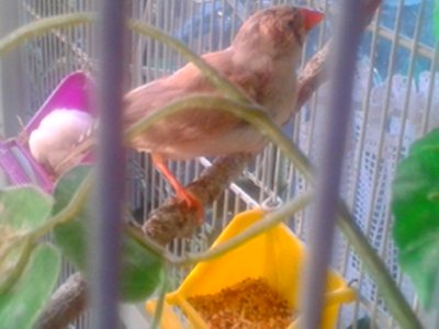 20151019_091425.jpg
