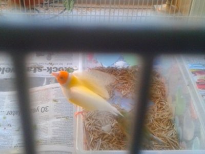 20151019_091837.jpg