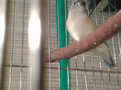 20151020_114518.jpg