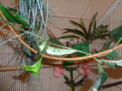 DSC01462.JPG