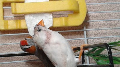 Melvin Look 2.jpg