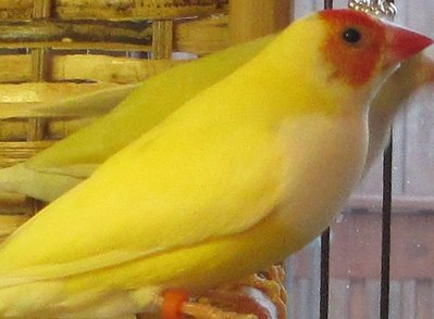 IMG_2259.JPG