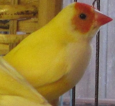 IMG_2254.JPG