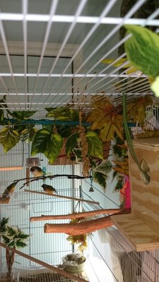 DSC_0569.JPG