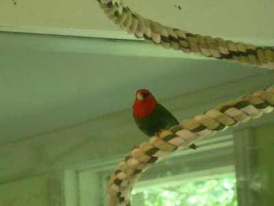 DSC06208.JPG