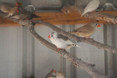 IMG_1254.JPG