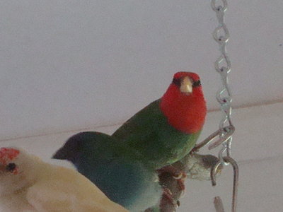 DSC06213.JPG